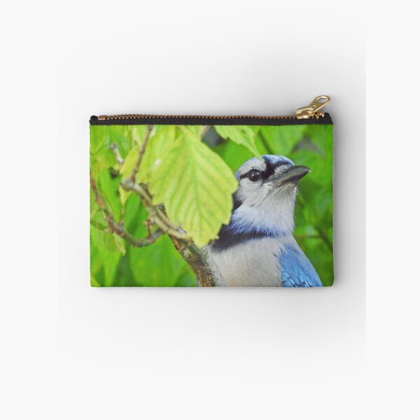 Aperçu de l'œuvre bluejay créée et vendue par corinthiansgirl.