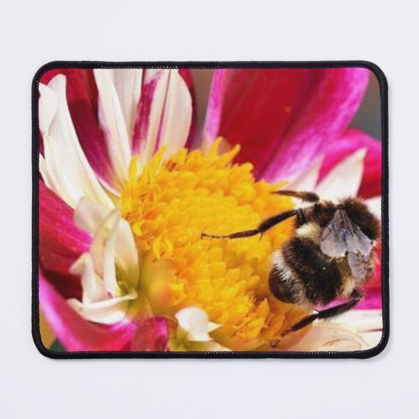 Item preview, Bumblebee designed and sold by Javedempire.