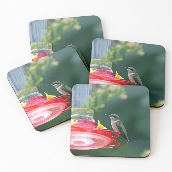 Item preview, Perched Hummingbird designed and sold by Frankie Cat Photography.