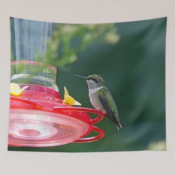 Item preview, Perched Hummingbird designed and sold by Frankie Cat Photography.