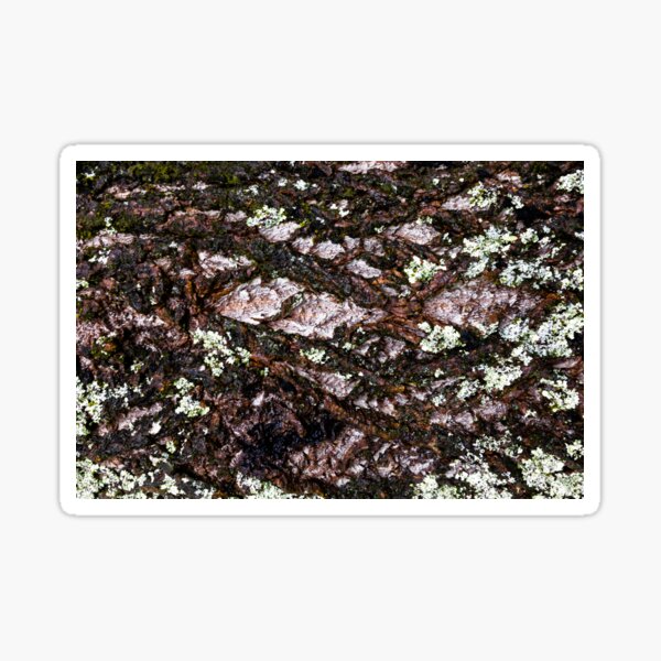 Item preview, Scared Mossy Tree Texture designed and sold by textural.