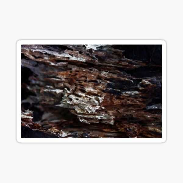 Item preview, Ancient Timber Skeleton Camouflage designed and sold by textural.