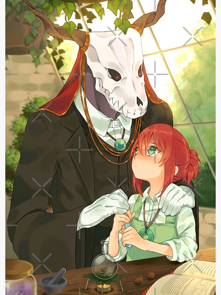 79 Ancient Magus Bride ( The)! ideas  ancient magus bride, ancient, elias  ainsworth