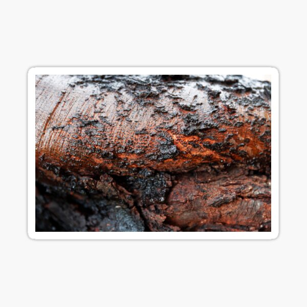 Item preview, Wet Charred Red Timber designed and sold by textural.