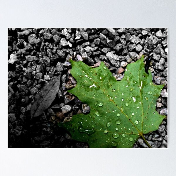 Item preview, That Rainy Day is Here! designed and sold by Rosemary Sobiera.