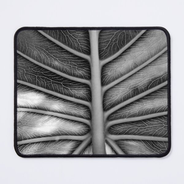 Item preview, B&W Leaf 01 designed and sold by Jeffrey Mask.