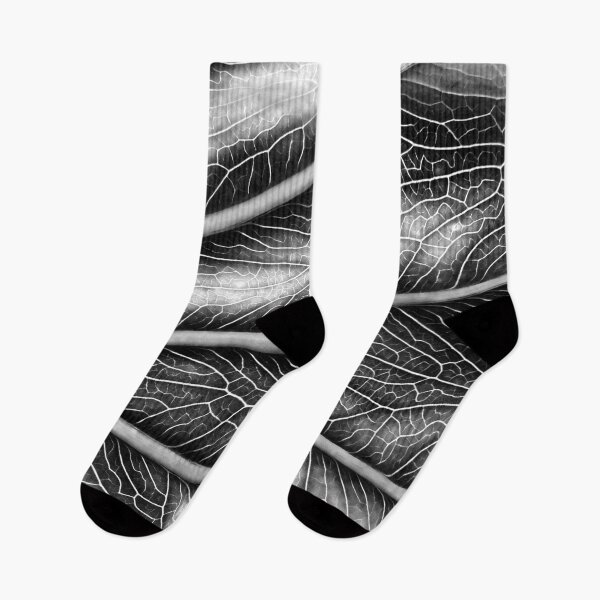 Item preview, B&W Leaf 04 designed and sold by Jeffrey Mask.