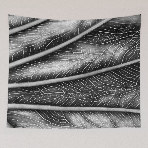 Item preview, B&W Leaf 04 designed and sold by Jeffrey Mask.