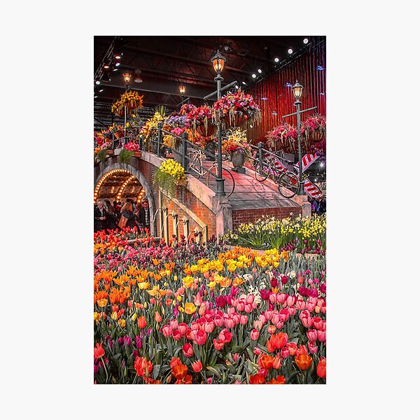 Item preview, USA. Pennsylvania. Philadelphia Flower Show 2017. designed and sold by vadim19.