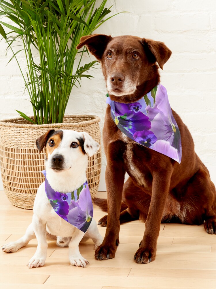 Alternate view of TOUCH OF SPRING PINK- PURPLE PANSY FLOWERS Pet Bandana
