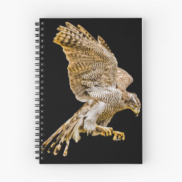 Item preview, Northern Goshawk designed and sold by Alius Imago.