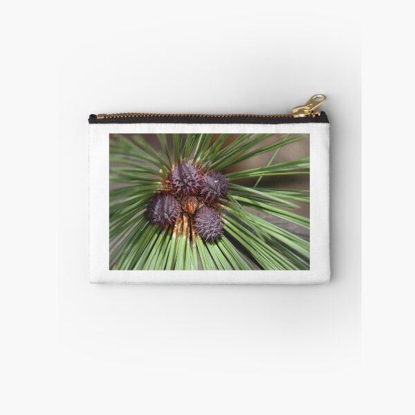 Item preview, Pine Cones designed and sold by cameraperson.