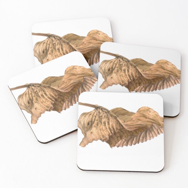 Item preview, Hosta Leaf 1 designed and sold by Gabriele Maurus.