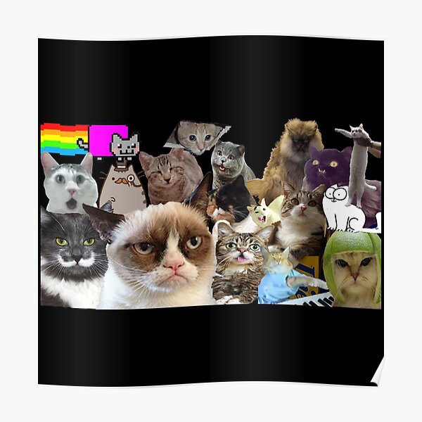 Cat Compilation Posters for Sale | Redbubble