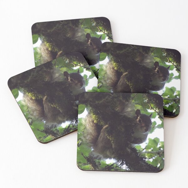 Item preview, Squirrel designed and sold by fabledtales.