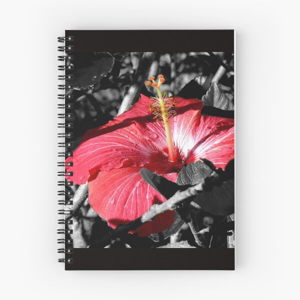 Item preview, Hibiscus in the Shadows designed and sold by Rosemary Sobiera.