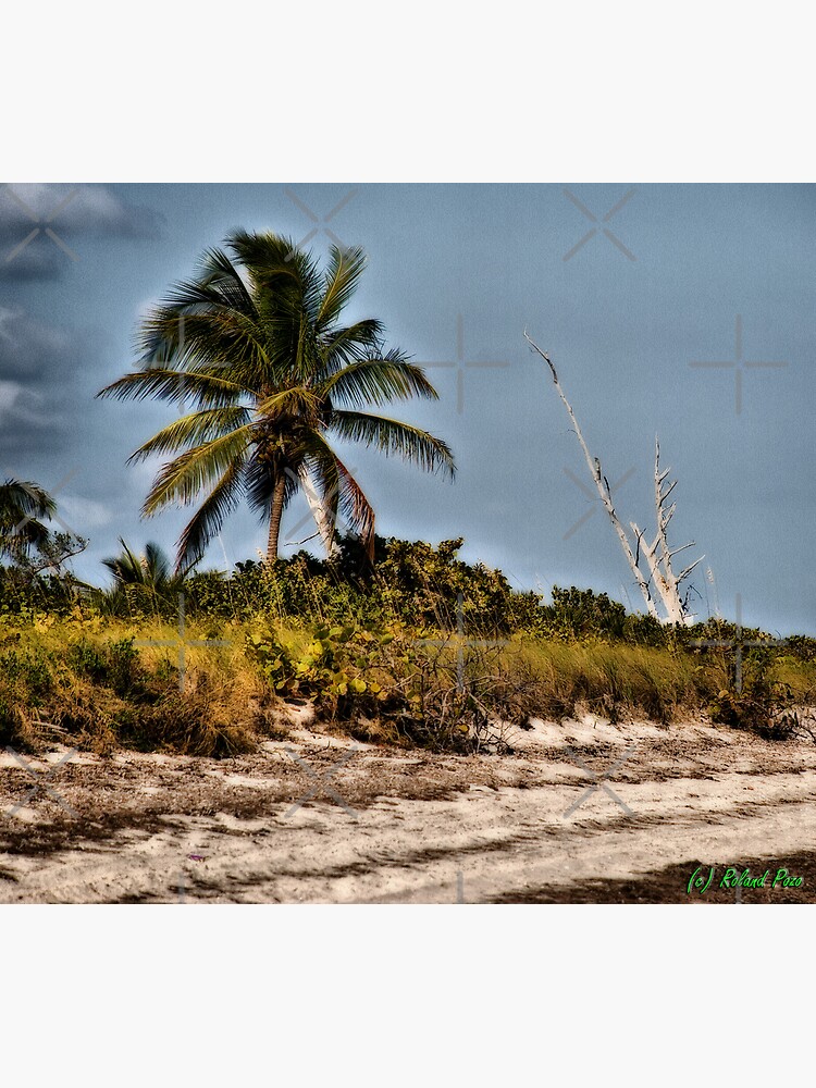 Marooned by photorolandi