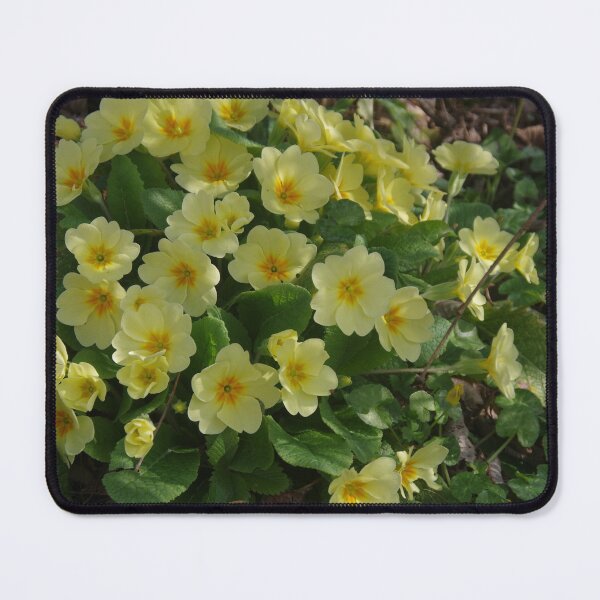 Item preview, Hedgerow Primroses (Primula vulgaris) designed and sold by lezvee.