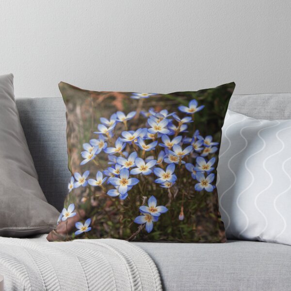 Item preview, Wild Flowers Bluets designed and sold by Roger Porter Photography.