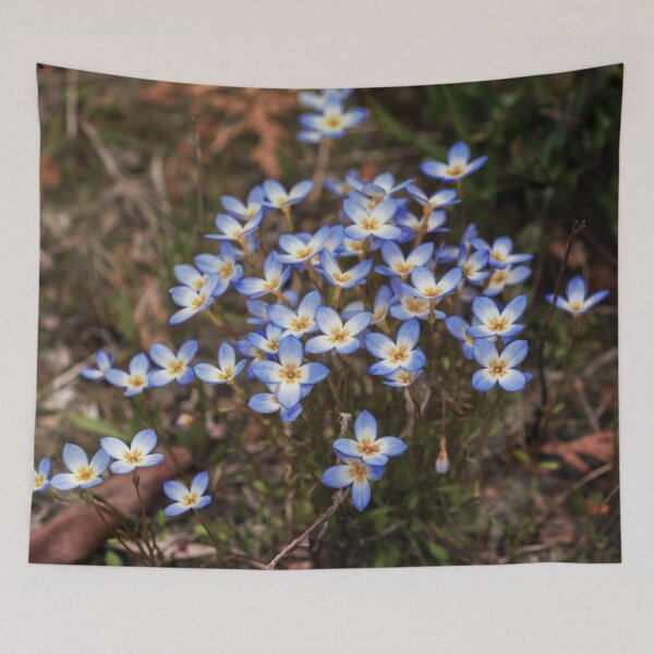 Item preview, Wild Flowers Bluets designed and sold by Roger Porter Photography.