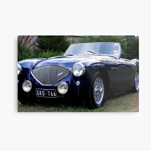 Austin Healey Metal Print