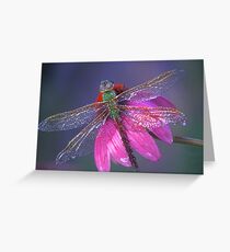 Dreaming Dragon Greeting Card