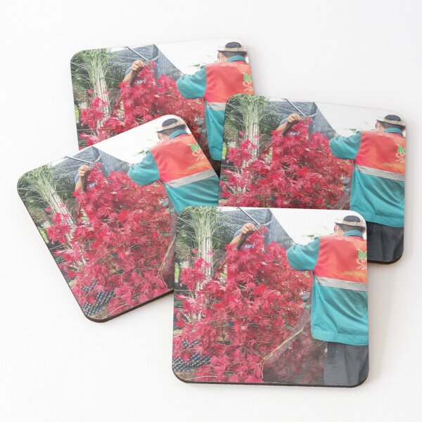 Item preview, More Then Awesome Scenery Beauty Picture Nature Trees 43 Cool Graphic Gifts designed and sold by huntermelissa.