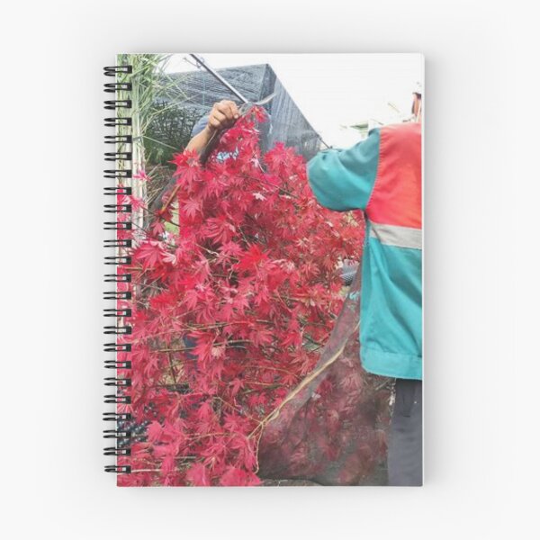 Item preview, More Then Awesome Scenery Beauty Picture Nature Trees 43 Cool Graphic Gifts designed and sold by huntermelissa.