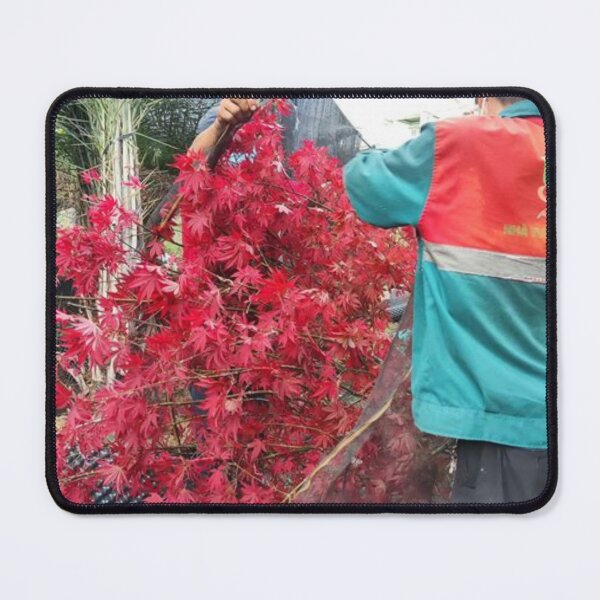 Item preview, More Then Awesome Scenery Beauty Picture Nature Trees 43 Cool Graphic Gifts designed and sold by huntermelissa.