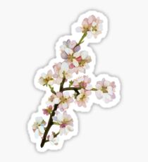 cherry blossoms Sticker