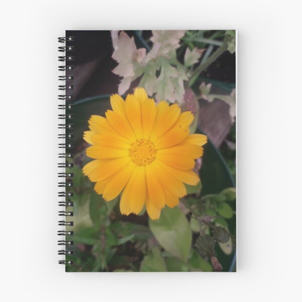 Item preview, KABFA Designs and Volksbolts, Vintage,  English Country Garden Marigold,  Flowers, flower, designed and sold by KABFA Designs.