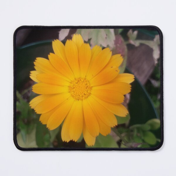Item preview, KABFA Designs and Volksbolts, Vintage,  English Country Garden Marigold,  Flowers, flower, designed and sold by KABFA Designs.