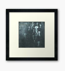 Jellyfish 2 Framed Print