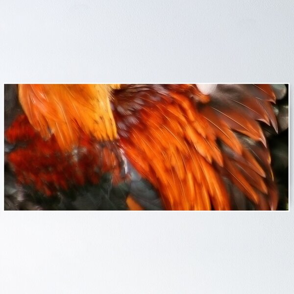 Item preview, Feathers 2 designed and sold by Ken Simm.