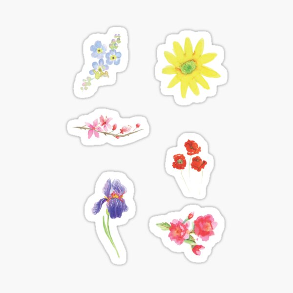 Floral Collection Pack Sticker