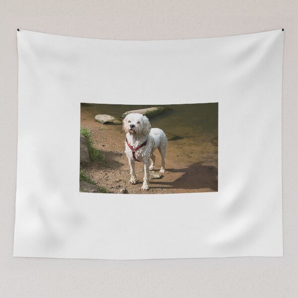 Item preview, ALFIE designed and sold by MIKESCOTT.
