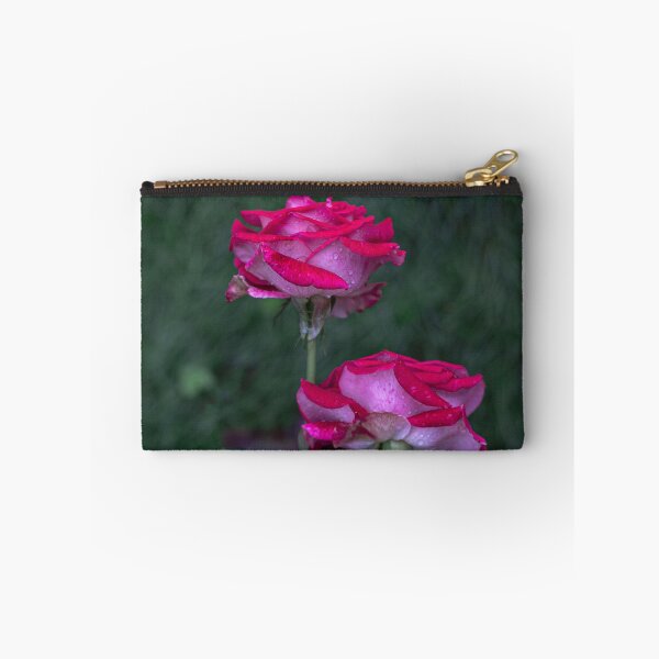 Artikelvorschau, Schöne rote rosa Rosen im Garten entworfen und verkauft von ExploreYK.