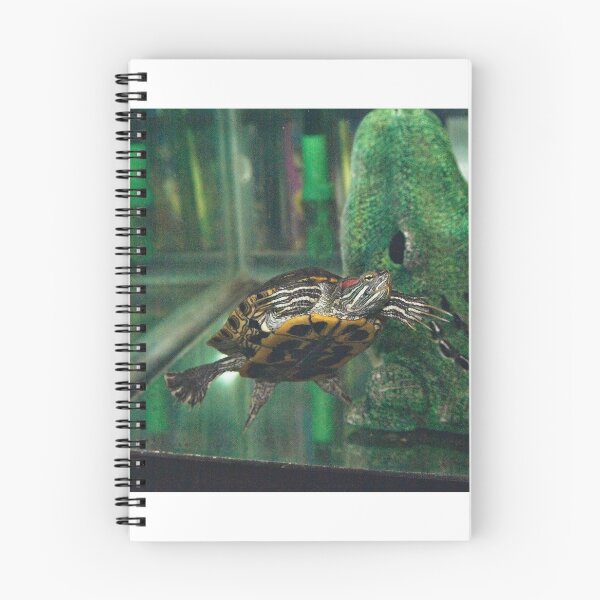 Item preview, Red Eared Slider  designed and sold by JessieFox.