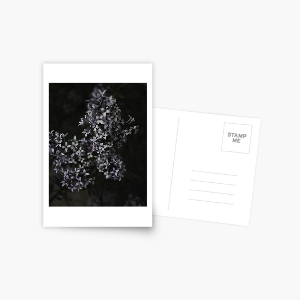 Item preview, Postcard designed and sold by Aisat13.