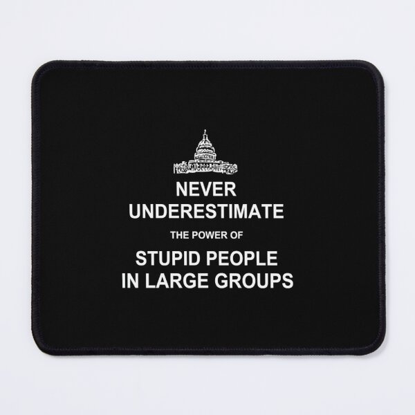 Item preview, Never Underestimate the Power of Stupid People in designed and sold by RanDiTES.