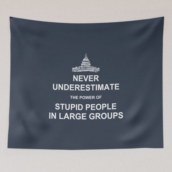 Item preview, Never Underestimate the Power of Stupid People in designed and sold by RanDiTES.