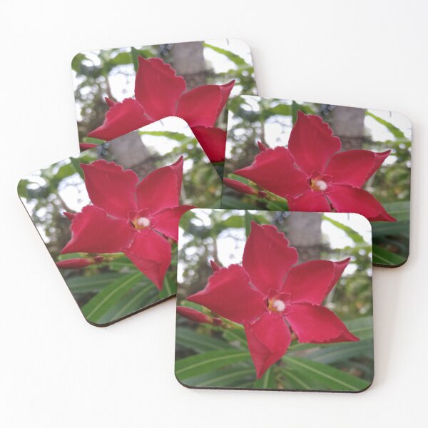 Item preview, Kaneru/ Nerium Oleander Floral Photography Design designed and sold by DHAMMISTYLES.