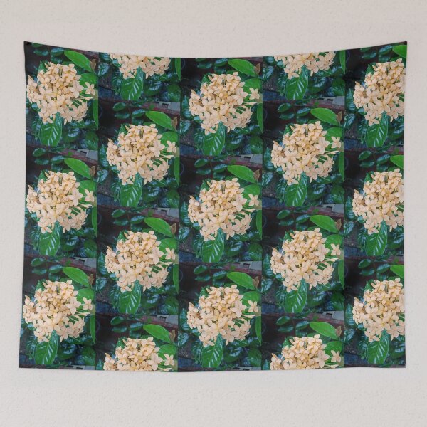 Item preview, Yellow Light Orange Cream Color Rathmal/ Ixora Coccinea Floral Photography Design designed and sold by DHAMMISTYLES.
