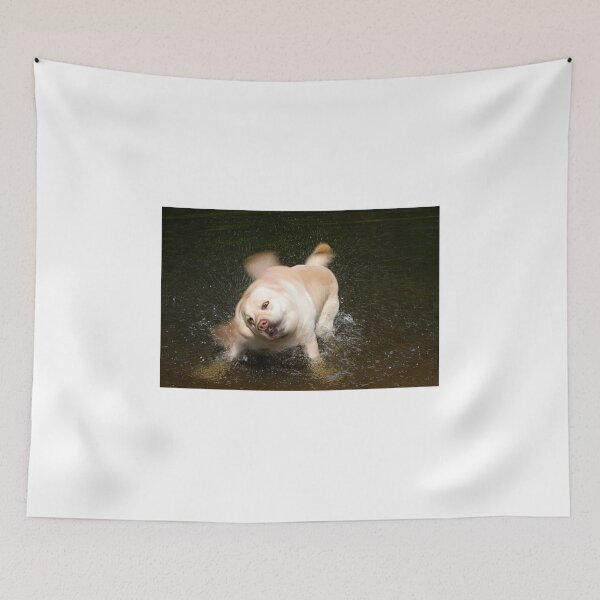 Item preview, SHAKE IT OFF designed and sold by MIKESCOTT.