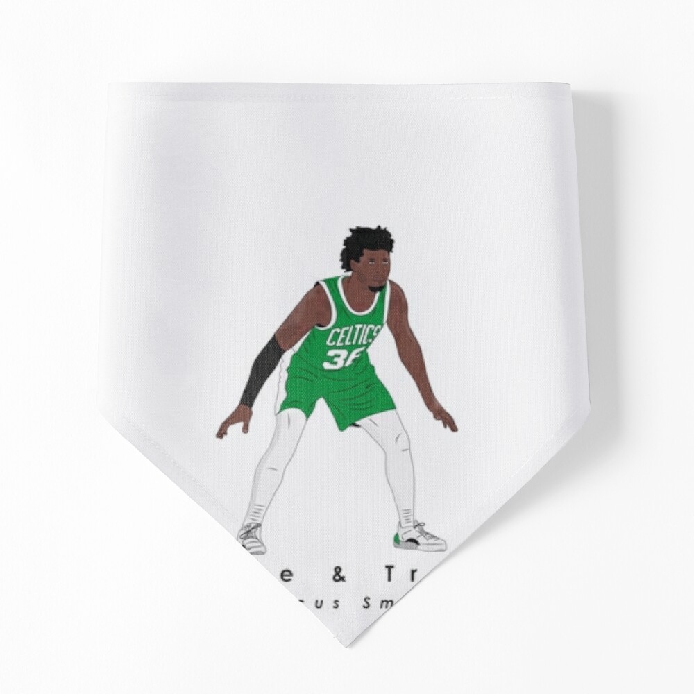 Boston Celtics Pet Jersey - Small