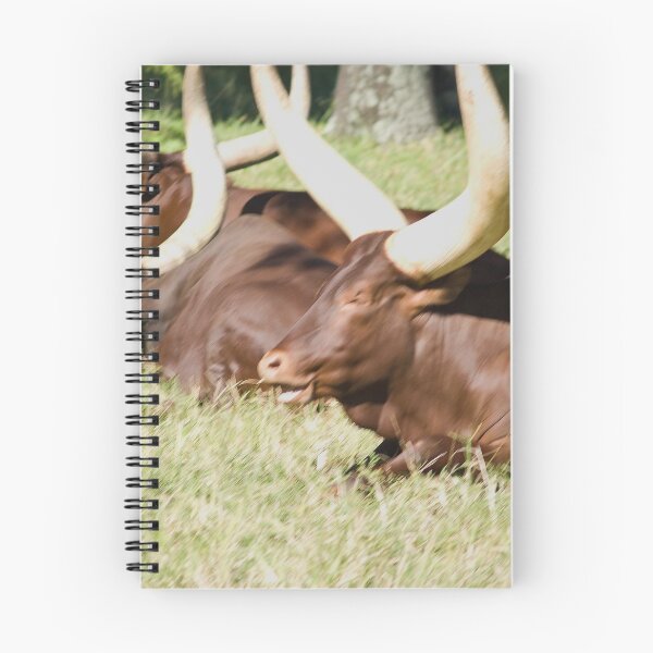 Item preview, Ankole Longhorn designed and sold by JessieFox.