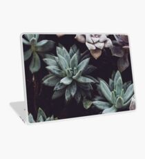 Vinilo para portátil Impresión de plantas, Cactus, Impresión de cactus, Impresión escandinava, Escandinavo, Impresión de moda, Estilo, Arte escandinavo, Arte moderno, Arte de la pared, Impresión, Minimalista, Moderno