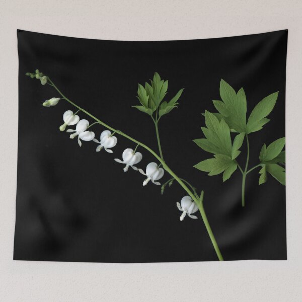 Item preview, Dicentra to the left designed and sold by Gabriele Maurus.