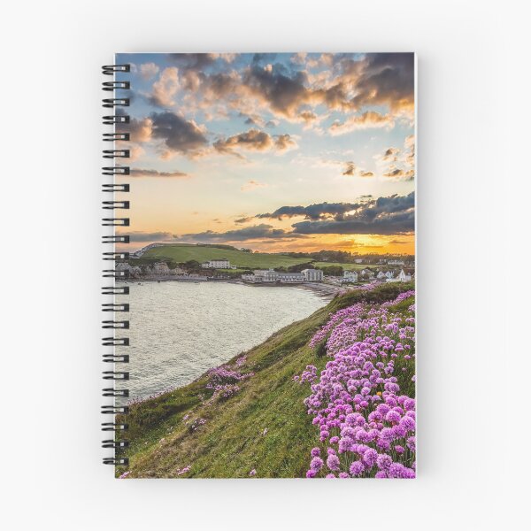 Item preview, Freshwater Bay Sea Thrift Sunset designed and sold by manateevoyager.