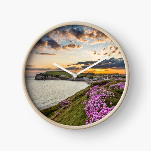 Item preview, Freshwater Bay Sea Thrift Sunset designed and sold by manateevoyager.